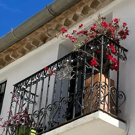 Casa Ariana, Casco Antiguo, Terrazas Con Vistas Al Mar Villa Altea Exterior photo