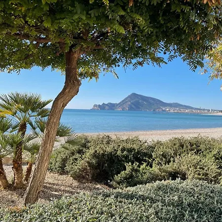 Casa Ariana, Casco Antiguo, Terrazas Con Vistas Al Mar Villa Altea Exterior photo