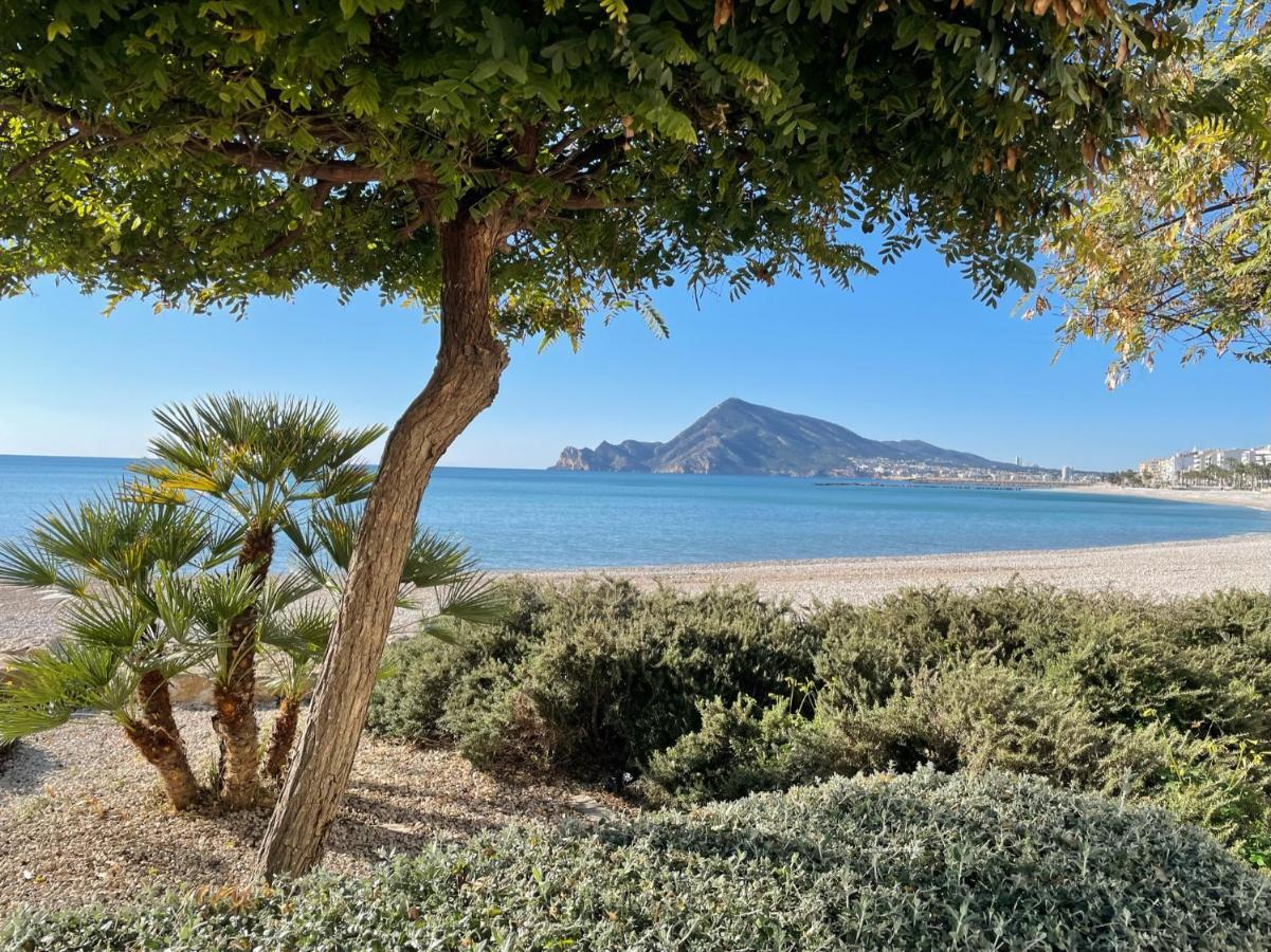 Casa Ariana, Casco Antiguo, Terrazas Con Vistas Al Mar Holiday home